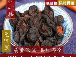 关于潮爆三国酸枣关卡攻略的详尽指南解析