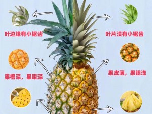 菠萝视频污—如何看待菠萝视频污相关内容？