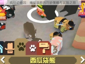 疯狂动物园：捕捉袋熊的巧妙策略与冒险之旅