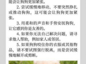 家狗狗卡在我里面痛怎么办,狗狗被卡身体，主人该如何应对？