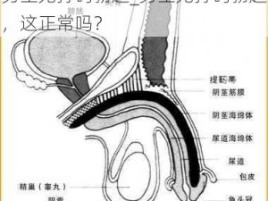 男生无打码勃起_男生无打码勃起，这正常吗？