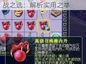 梦幻西游手游内丹仁者心实战之选：解析实用之举