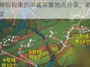 关于原神钩钩果的丰富采集地点分享，助你轻松收获果实