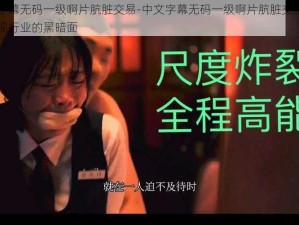 中文字幕无码一级啊片肮脏交易-中文字幕无码一级啊片肮脏交易：揭示影视行业的黑暗面