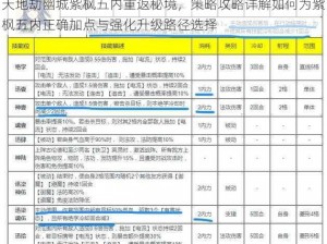 天地劫幽城紫枫五内重返秘境，策略攻略详解如何为紫枫五内正确加点与强化升级路径选择