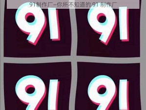 91制作厂—你所不知道的 91 制作厂