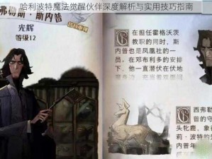 哈利波特魔法觉醒伙伴深度解析与实用技巧指南