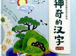 《神奇汉字之旅：重新领悟神操作魅力》