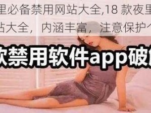 18款夜里必备禁用网站大全,18 款夜里必备禁用网站大全，内涵丰富，注意保护个人隐私