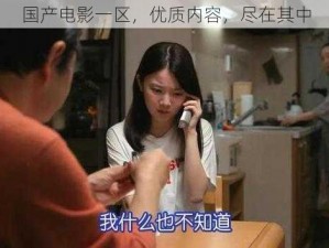 国产电影一区，优质内容，尽在其中