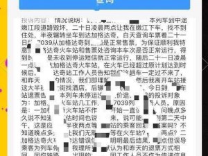 揭秘：12306网站崩溃事件背后的原因及应对之策