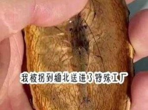 活体肉莲图片照片博物馆大全、活体肉莲图片照片博物馆大全：探秘未知的恐怖世界