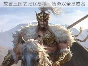 放置三国之张辽易得，智勇双全显威名