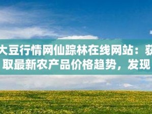 大豆行情网在线仙踪林【大豆行情网在线仙踪林，实时行情分析，助力投资决策】