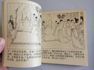 艳史婬乱版杨门女将【艳史婬乱版杨门女将：巾帼英雄的情色传奇】