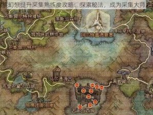 龙族幻想提升采集熟练度攻略：探索秘法，成为采集大师之道