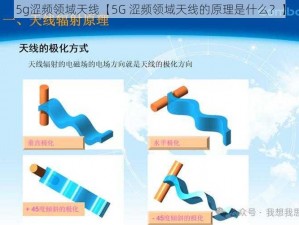 5g涩频领域天线【5G 涩频领域天线的原理是什么？】