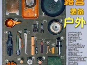 野战生存技能：识别与采集野生食物的实用指南