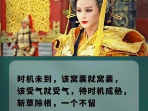 权力之歌：养精蓄锐，重归沙场——再现英雄壮志与战略智慧时刻