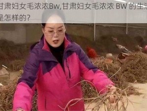 甘肃妇女毛浓浓Bw,甘肃妇女毛浓浓 BW 的生活是怎样的？