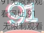 91无限制观看网址,91 无限制观看网址：xxxx