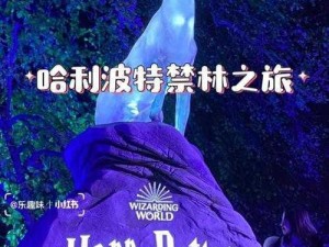 哈利波特禁林之旅：探寻抉择之道与勇气之光