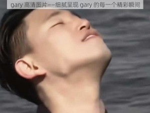 gary 高清图片——细腻呈现 gary 的每一个精彩瞬间