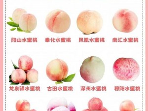 水蜜桃与水蜜桃V2重磅登场 水蜜桃 V2 震撼登场，口感升级，你准备好了吗？