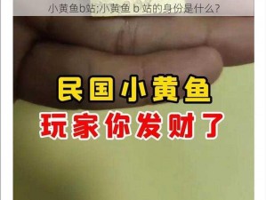 小黄鱼b站;小黄鱼 b 站的身份是什么？