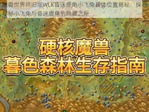 魔兽世界怀旧服WLK昏迷鹿角小飞兔具体位置揭秘：探寻神秘小飞兔与昏迷鹿角的隐藏之所