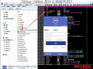 789se;789se 是什么神秘代码？