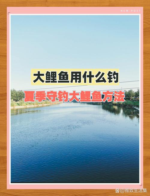 天刀手游钓锦鲤攻略：专业鱼饵选择技巧揭秘，轻松钓上珍稀锦鲤