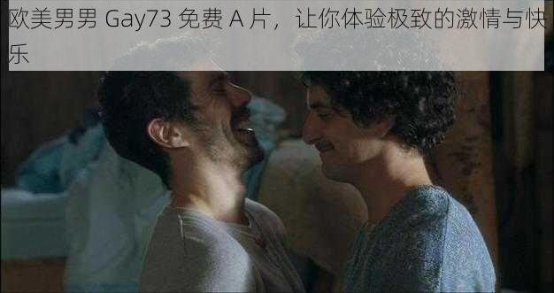 欧美男男 Gay73 免费 A 片，让你体验极致的激情与快乐