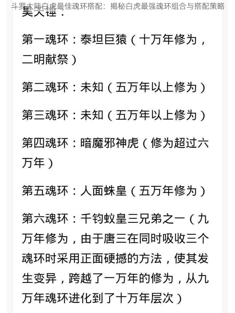 斗罗大陆白虎最佳魂环搭配：揭秘白虎最强魂环组合与搭配策略