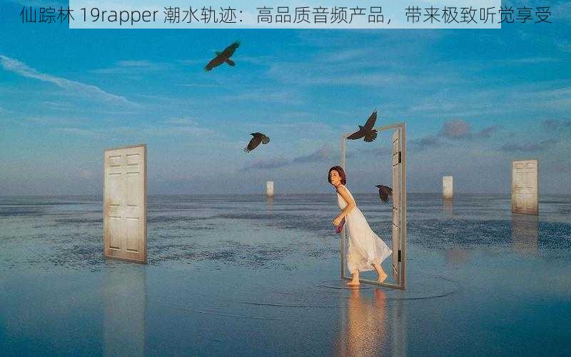 仙踪林 19rapper 潮水轨迹：高品质音频产品，带来极致听觉享受