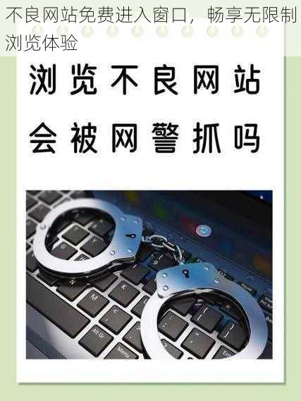 不良网站免费进入窗口，畅享无限制浏览体验