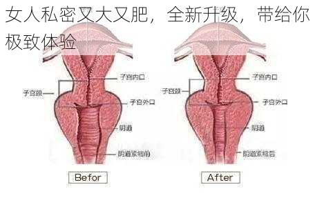 女人私密又大又肥，全新升级，带给你极致体验