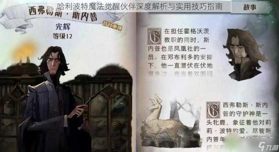 哈利波特魔法觉醒伙伴深度解析与实用技巧指南