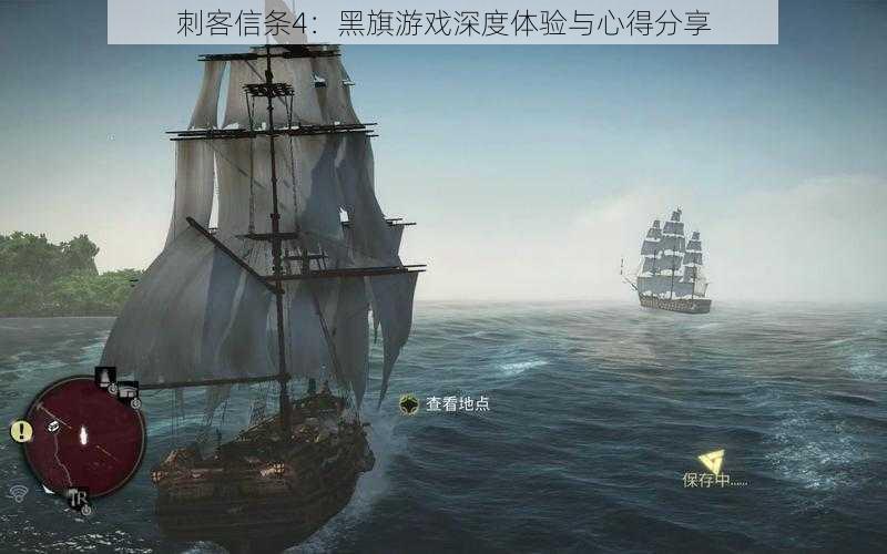 刺客信条4：黑旗游戏深度体验与心得分享