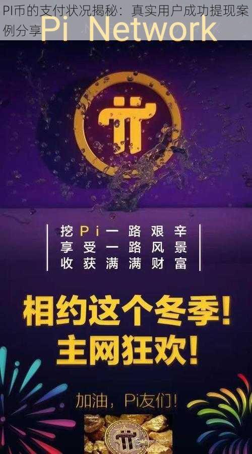 PI币的支付状况揭秘：真实用户成功提现案例分享