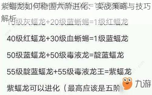 紫蝠龙如何稳固六阶进化：实战策略与技巧解析