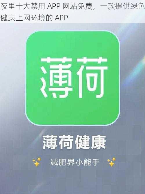 夜里十大禁用 APP 网站免费，一款提供绿色健康上网环境的 APP