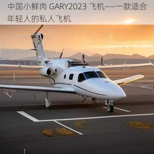 中国小鲜肉 GARY2023 飞机——一款适合年轻人的私人飞机