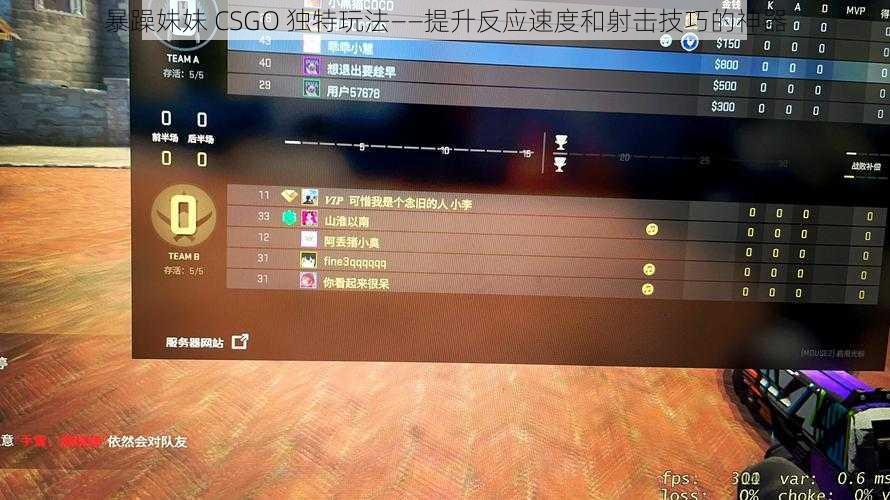 暴躁妹妹 CSGO 独特玩法——提升反应速度和射击技巧的神器