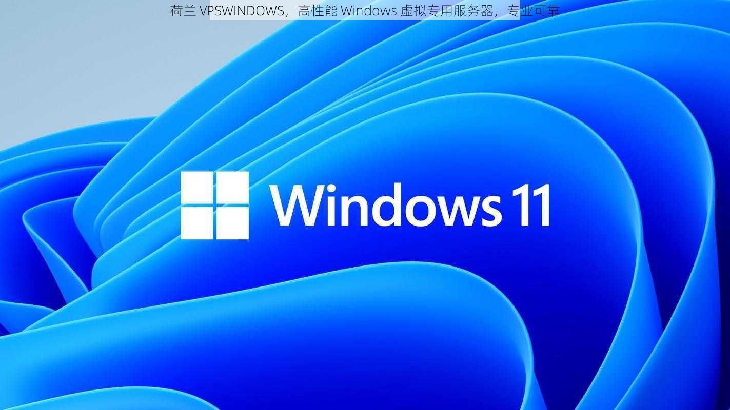 荷兰 VPSWINDOWS，高性能 Windows 虚拟专用服务器，专业可靠