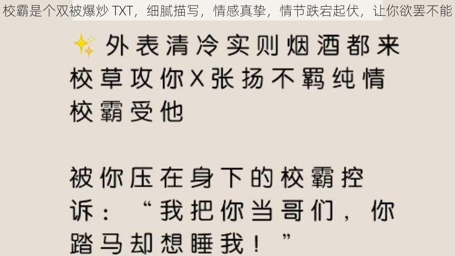 校霸是个双被爆炒 TXT，细腻描写，情感真挚，情节跌宕起伏，让你欲罢不能