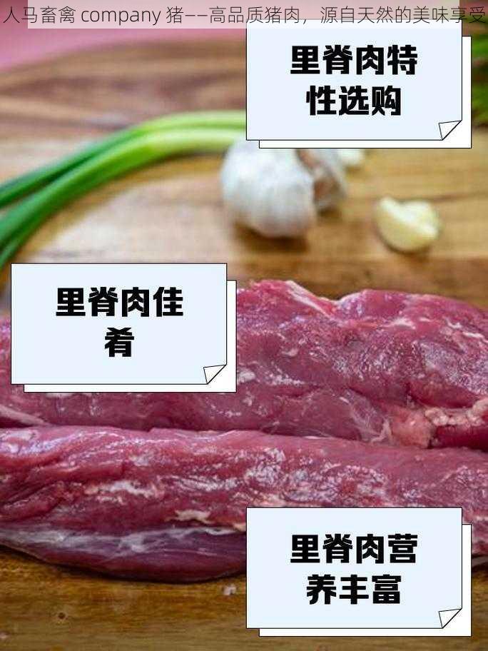 人马畜禽 company 猪——高品质猪肉，源自天然的美味享受