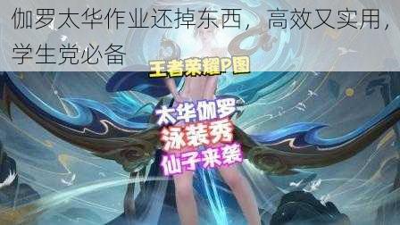 伽罗太华作业还掉东西，高效又实用，学生党必备