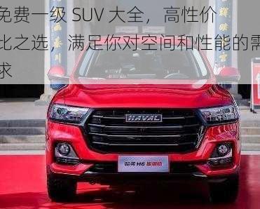 免费一级 SUV 大全，高性价比之选，满足你对空间和性能的需求