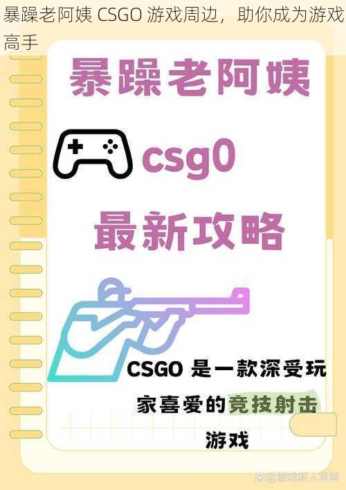 暴躁老阿姨 CSGO 游戏周边，助你成为游戏高手